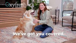 Got Pet Stains? #1 Choice for Pet Stain & Odor Removal by Oxyfresh 174,321 views 1 month ago 30 seconds