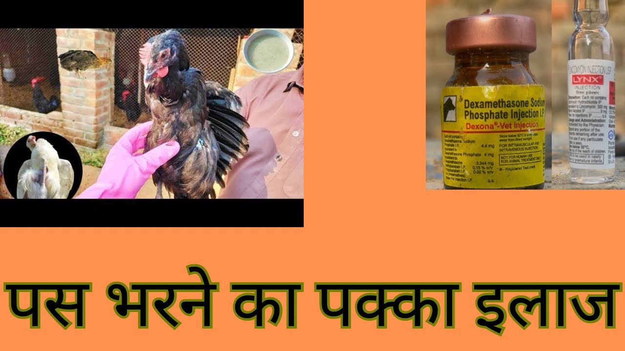 Pani bharn da ilaaj - YouTube