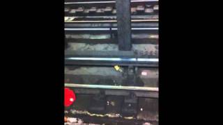 IMG 0926