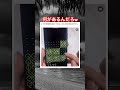 隠されたスマホw #shorts#tiktok#Twitter#おもしろ#お笑い#おすすめ#スマホ#パスワード#セキュリティ #面白い#おもしろ動画#爆笑#バズれ