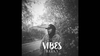 Vibes - Bijay Prod By Beast Inside Beats Resimi