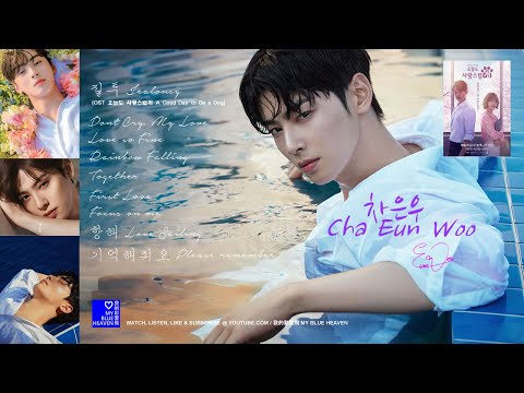 CHA EUNWOO チャウヌ シンガポール 公演限定 トレカ VRコンサート Memories 日本入場特典 CHA EUNWOOトレカ - メルカリ