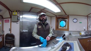 Dry Lab - On Board the R/V Tiglax