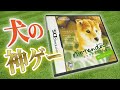 「ニンテンドックス」という任天堂が生み出した神ゲー【犬】