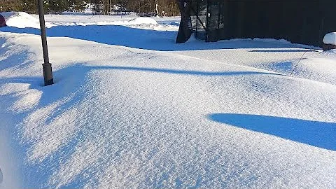 СПАНБОНД и НЮАНСЫ🚨😢. УКРЫТИЕ РОЗ🌹🌹🌹😅…