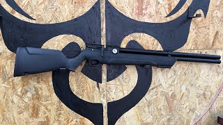 Review Rifle AVENGER Regulado 5.5