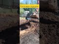 7 июня 2024 г.