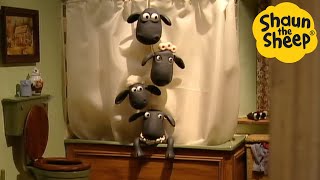 Shaun The Sheep 🐑 Hide In The Shower! - Cartoons For Kids 🐑 Full Episodes Compilation [1 Hour]