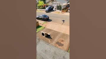 traxxas erevo feels good 💪 #shorts