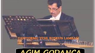 AGIM GODANCA-TSM- YANIYORMU YESIL KOSKUN LAMBASI Resimi