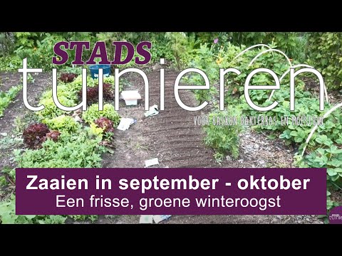 Video: N Eenvoudige Verskeidenheid Groente Vir Die Winter