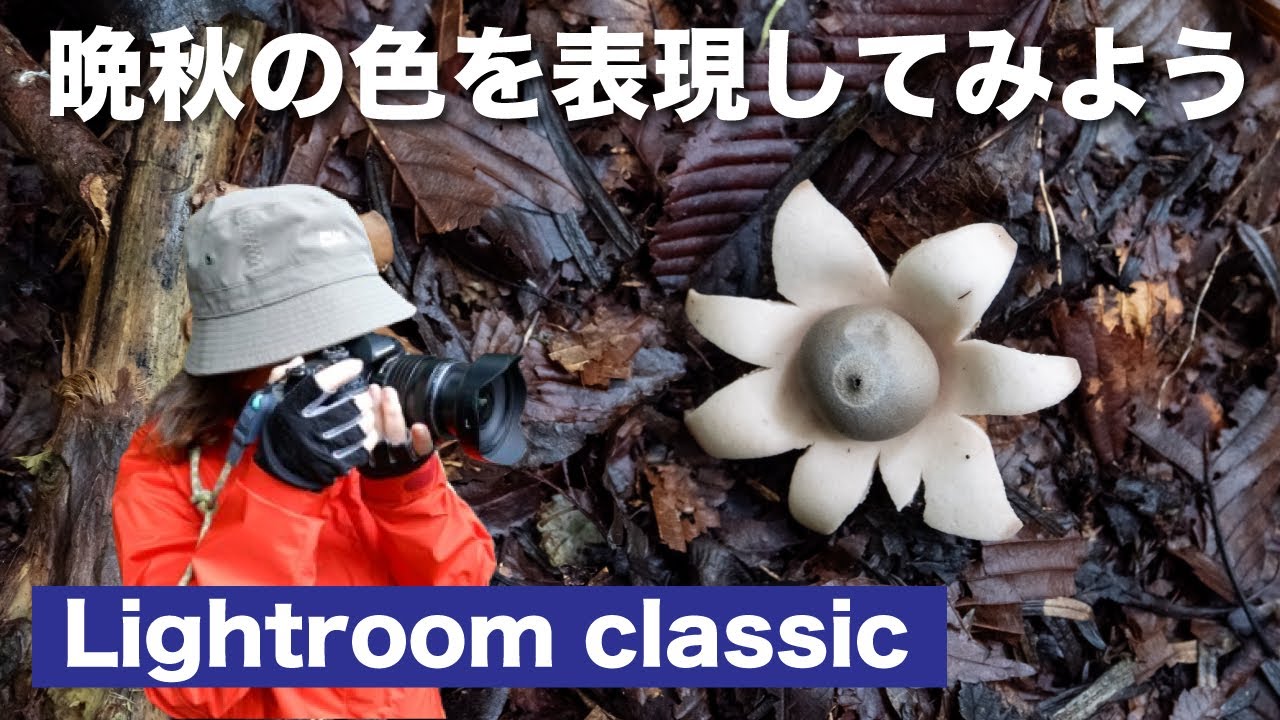 晩秋の色のレタッチ・私流Lightroom classic現像法
