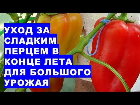 Видео: Какви са характеристиките на валежите?