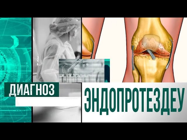 Үлкен клитордың YouTube бейнесі