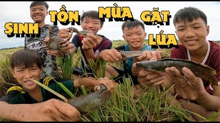 Anh Ba Phải | Thử Thách Sinh Tồn Đồng Hoang - Bắt Cá Dưới Mương - Hái Trái | Survival Challenge