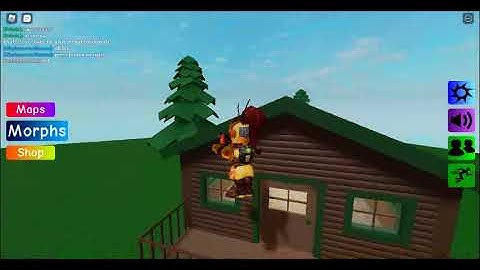 How to find Doctor Floppa in Find the Floppa Morphs (57)