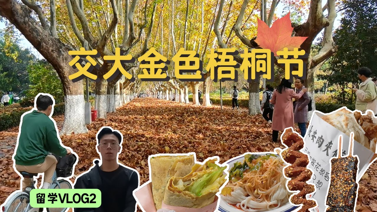 Autumn in China just so beautiful | My first week in Xi'An China | China Vlog 2