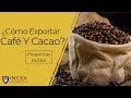 ¿Cómo Exportar Café Y Cacao? | Preguntas INCEA