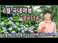 [Talk] 6월에 가면 좋은 국내여행지 베스트4 / 경남 거제도 고성 수국, 부산 태종사 수국, 경기 가평 강원 춘천, 전남 보성, 6월 국내여행 추천