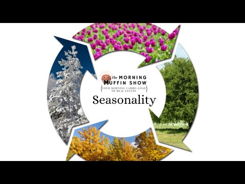 Seasonality - YouTube