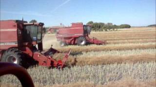 Harvest 2011