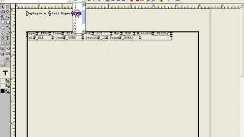 Form Like Report In Oracle (In Urdu)