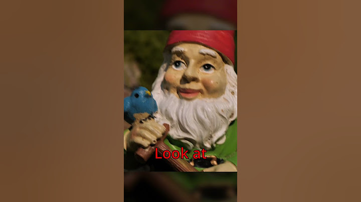 I Don't Trust This Gnome 🤔
