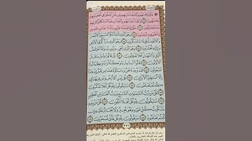 تلاوة تهز القلوب 🌿 آيات تدعو للتفكر والرجوع إلى الله #القرآن_الكريم #اكسبلور #تلاوة_قرآن #خشوع