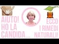 Intestinale e candidosi orale sintomi & approccio naturale per curare
candida albicans review - why you should buy it?