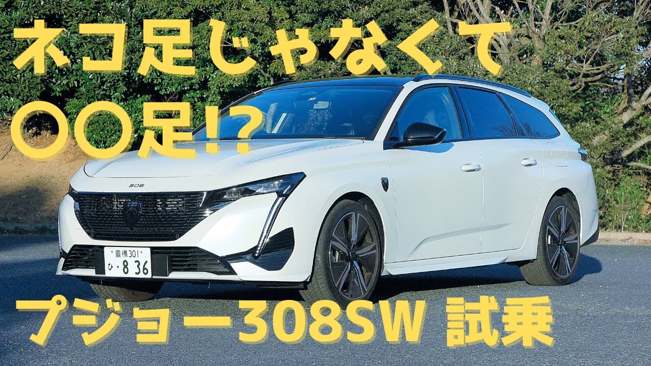 Test Drive] Peugeot 308SW PHEV! I thought it was a cat, but it was