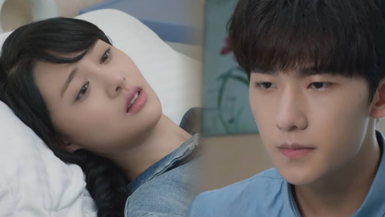 【高甜來襲】微微發燒進醫院，肖奈總裁放下手中所有的工作去找微微！郑爽&杨洋