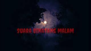 RELAXING SUARA BINATANG MALAM