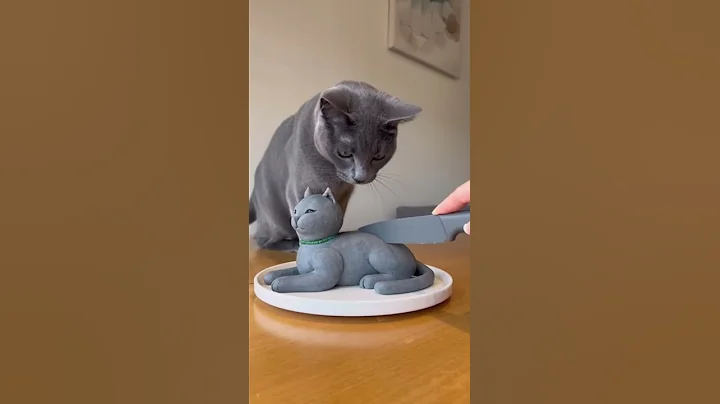 Video 11579951: russian blue cat, cutting russian blue, cat reaction, cute cat, pets