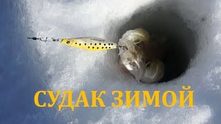 Зимняя рыбалка на судака. Обское водохранилище 2016.(Подпишись на Life канал: https://www.youtube.com/c/veternsk Группа ВК: https://vk.com/hapokru Зимняя рыбалка на судака на Обском водохра..., 2016-02-29T10:39:05.000Z)