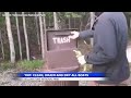Yellowstone reminds visitors to clean their boats of invasive species