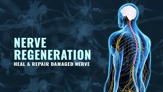 Heal and Repair Nerve Damage | Reduce Nerve Pain Instantly | Nerve Regeneration Isochronic Tones