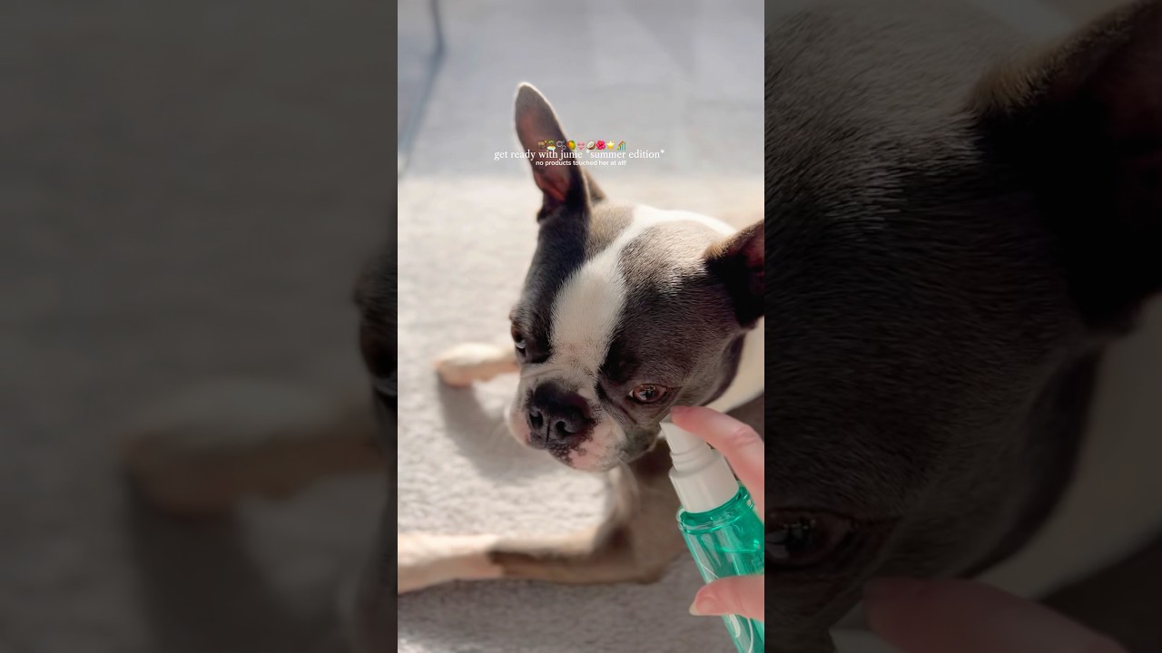 THE SPRAY WAS A SOUND EFFECT!! recreated FULLY 