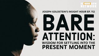 Joseph Goldstein's Insight Hour Ep. 112: Bare Attention