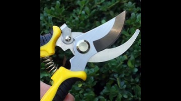 Pruner Garden Scissors Professional Sharp Bypass Pruning Shears Tree