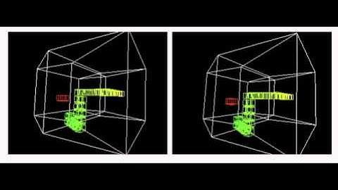 4d Snake Stereoscopic View