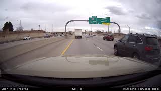 Cat Tries to Cross Interstate