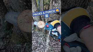 PACK-A-PUNCH Mini Chainsaw | GKE18V-20 #shorts