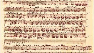 VIVALDI | Violin Concerto RV 275 in E minor | Arranged for Psaltery