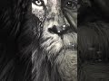 Картина «Человек-Лев» art man lion