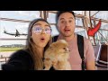 VLOGMAS DÍA 4 | ASÍ ES VIAJAR CON MASCOTAS EN UN AVIÓN! 🐶 | Pautips