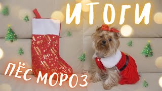 ИТОГИ КОНКУРСА + СЮРПРИЗ🎁 УПАКОВКА ПОДАРКОВ ПЁС МОРОЗ