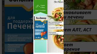 Бонджигар