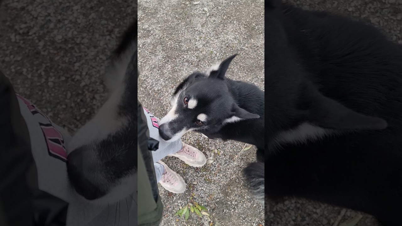 Предыдущие негативные опыты: