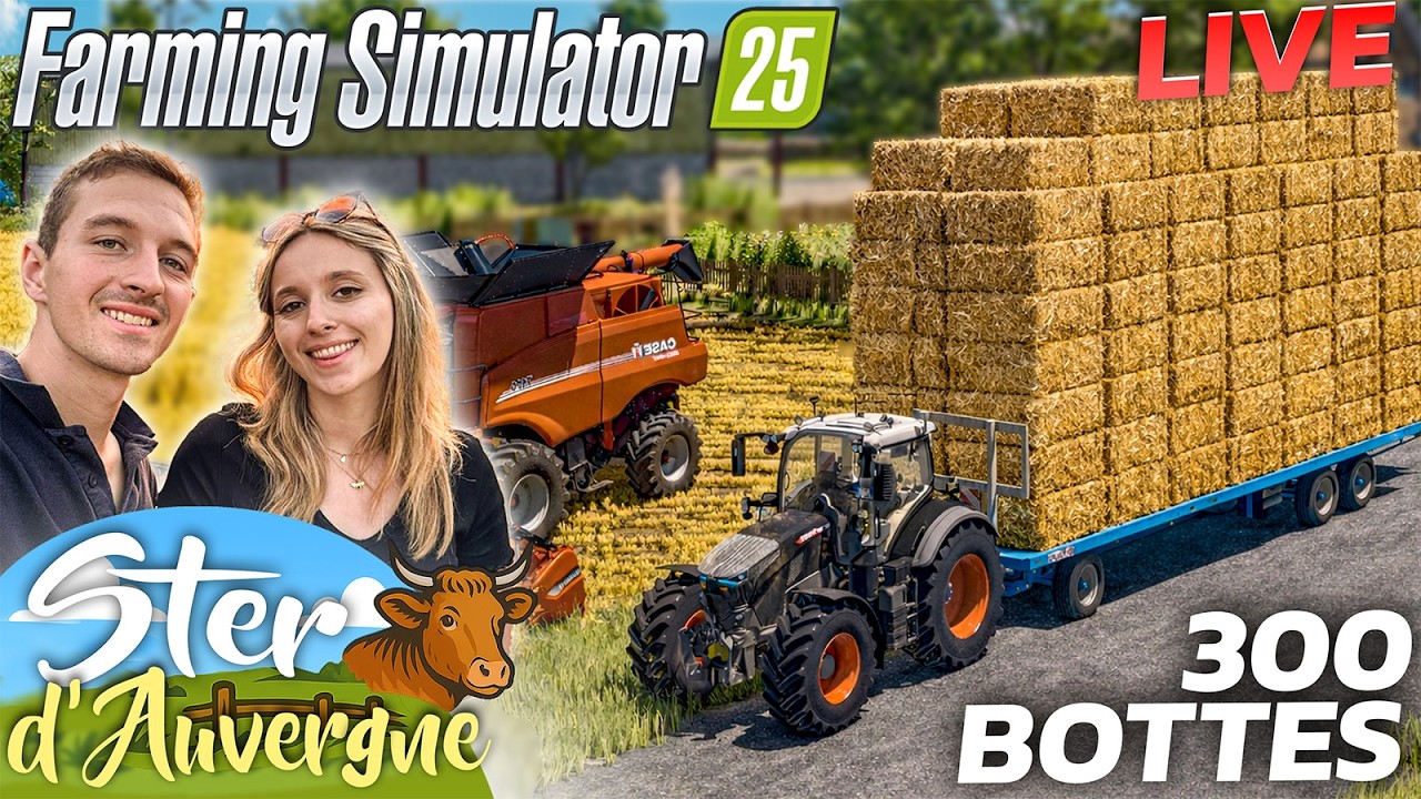 GROSSE MOISSON (300 bottes à faire) ! Ster d'Auvergne