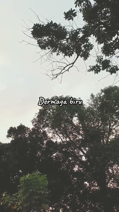 Thomas - Dermaga biru